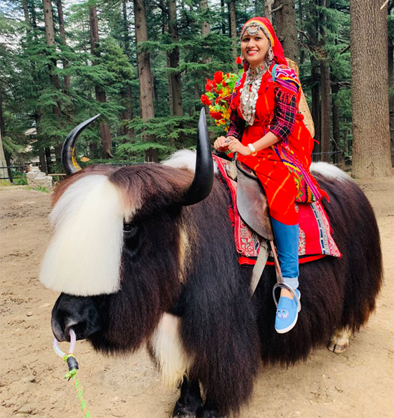 3 Star Hotel In Manali